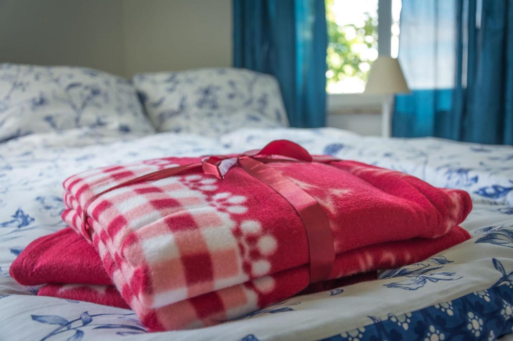 Ferienwohnung Fischersfru Φλένσμπουργκ Εξωτερικό φωτογραφία